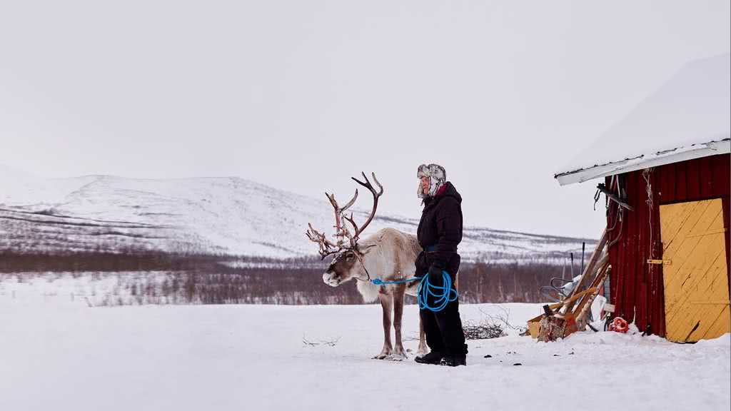 Vaillant, Ake and the flexoThERM heat pump the fully story Vaillant, Ake and the flexoThERM heat pump the fully story